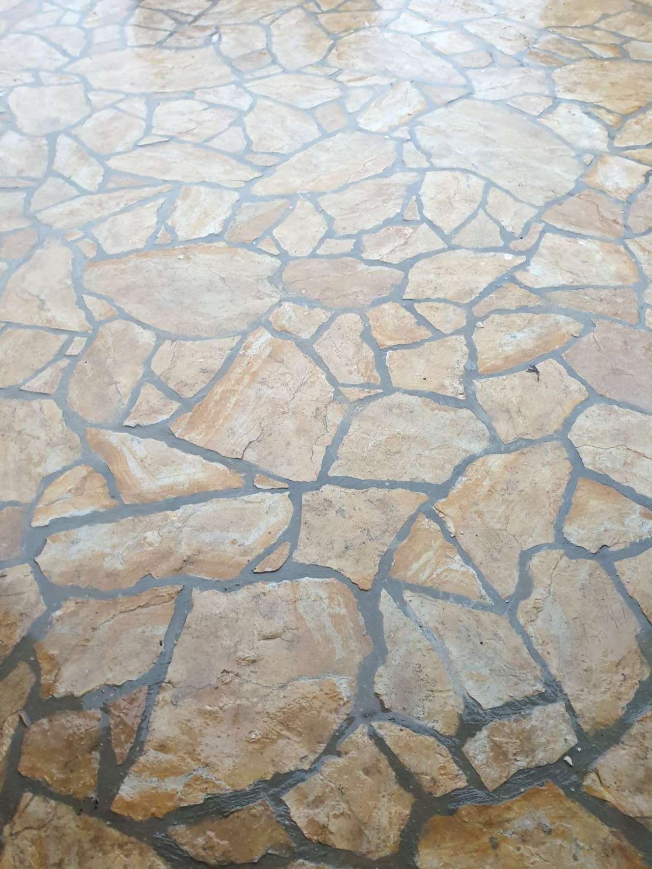 Crazy Paving-Salič