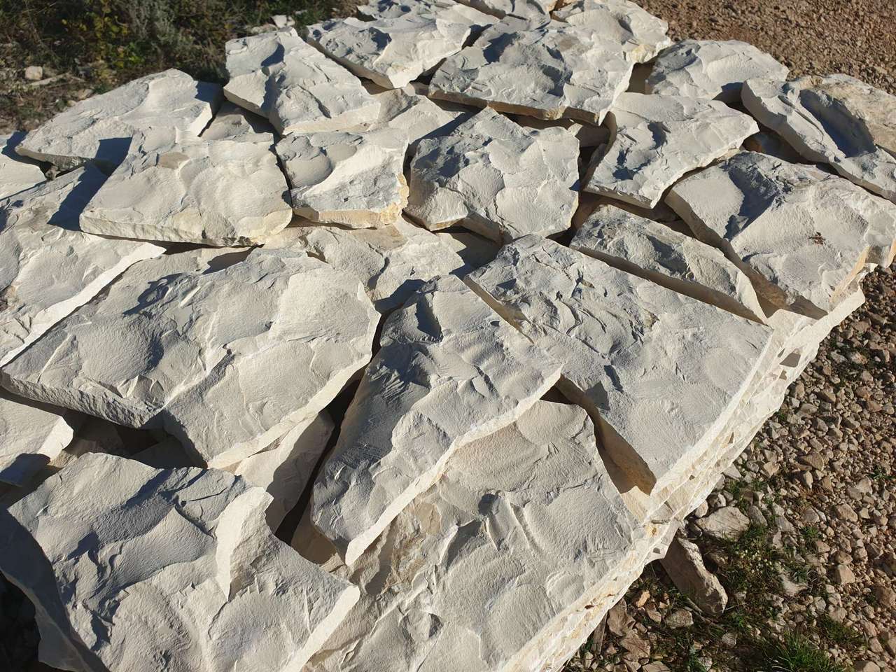 White ciklop